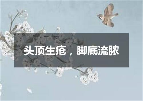 头顶生疮，脚底流脓