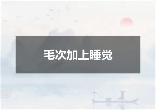 毛次加上睡觉