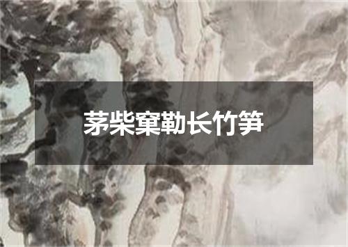 茅柴窠勒长竹笋