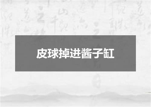 皮球掉进酱子缸