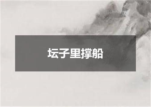 坛子里撑船