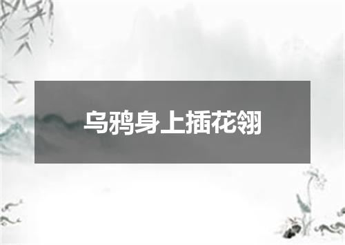 乌鸦身上插花翎