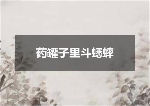 药罐子里斗蟋蟀