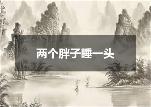 两个胖子睡一头
