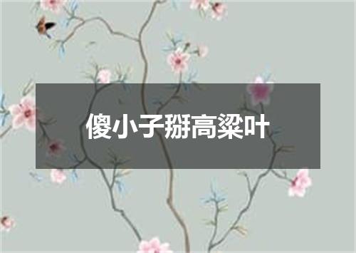 傻小子掰高粱叶