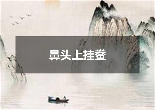 鼻头上挂鲞