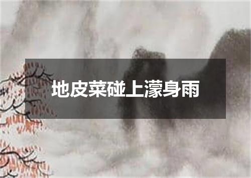 地皮菜碰上濛身雨
