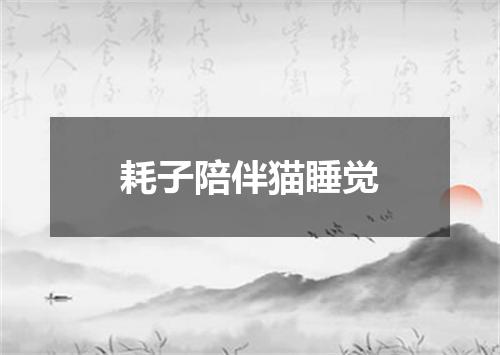 耗子陪伴猫睡觉