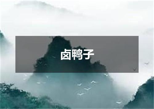 卤鸭子