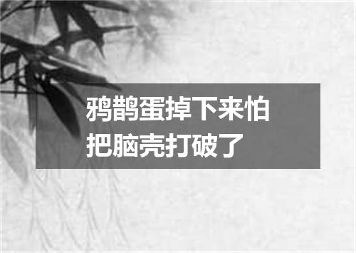 鸦鹊蛋掉下来怕把脑壳打破了