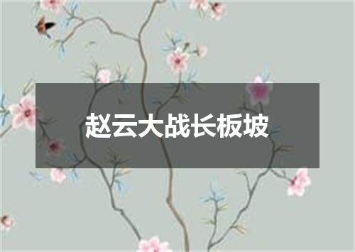 赵云大战长板坡