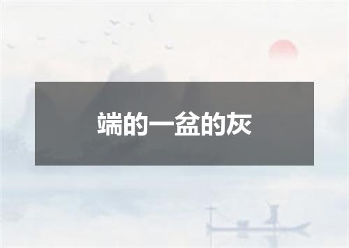 端的一盆的灰
