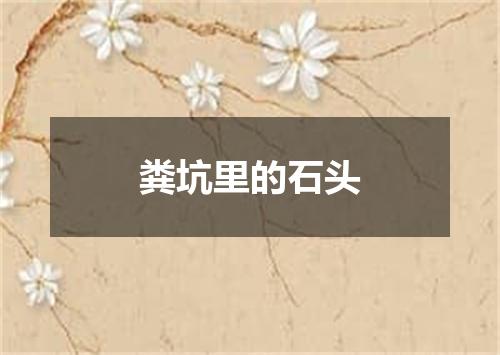 粪坑里的石头