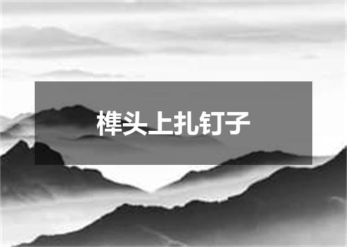榫头上扎钉子