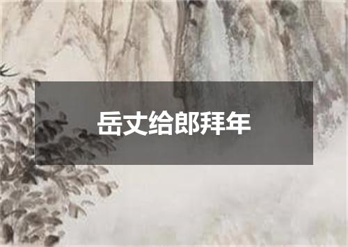 岳丈给郎拜年