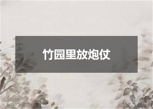 竹园里放炮仗