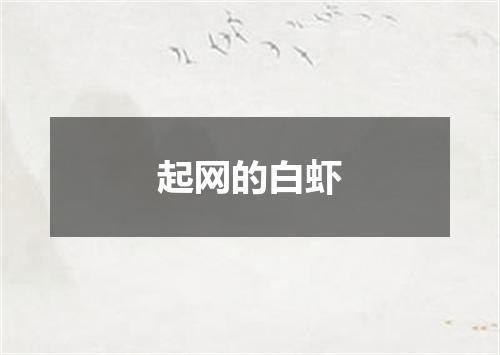 起网的白虾