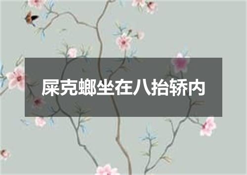 屎克螂坐在八抬轿内