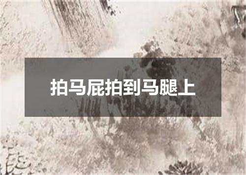 拍马屁拍到马腿上
