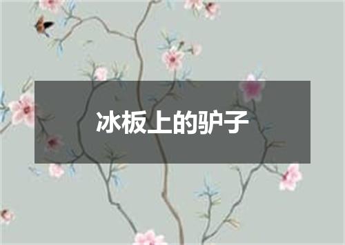 冰板上的驴子