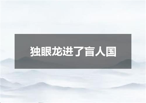 独眼龙进了盲人国