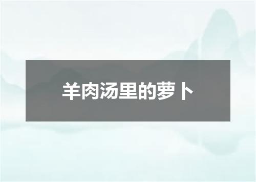 羊肉汤里的萝卜