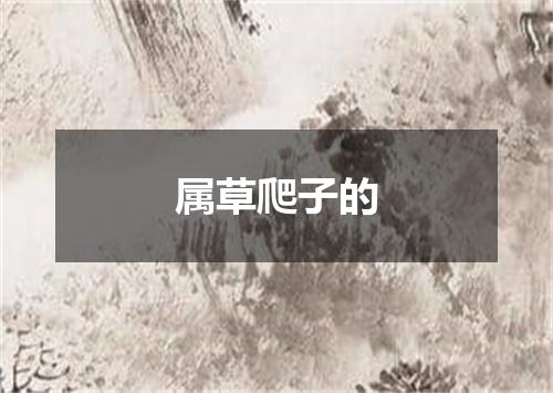 属草爬子的