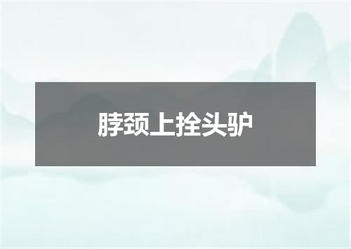 脖颈上拴头驴