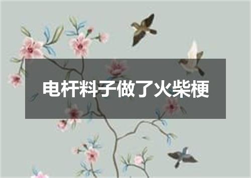 电杆料子做了火柴梗