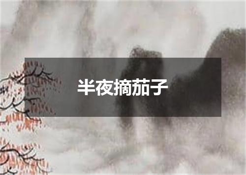 半夜摘茄子