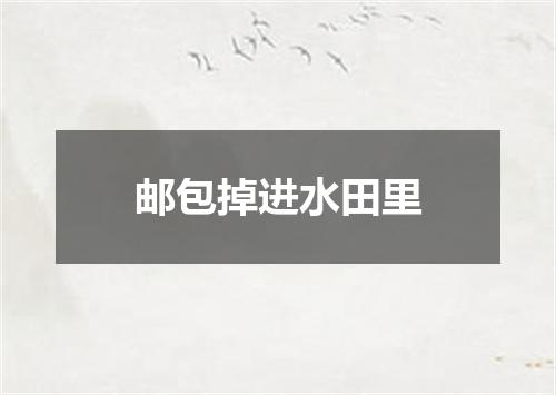 邮包掉进水田里