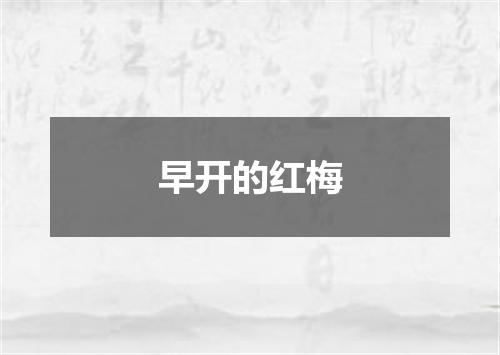 早开的红梅