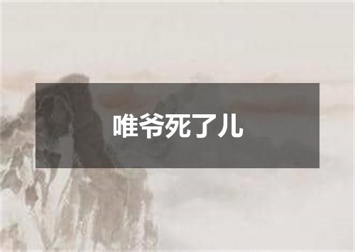 唯爷死了儿