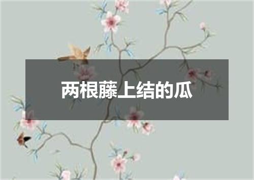 两根藤上结的瓜