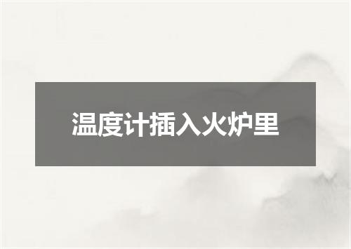 温度计插入火炉里