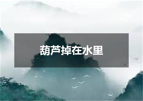葫芦掉在水里