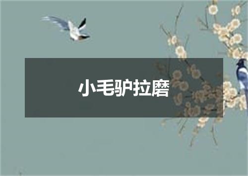 小毛驴拉磨
