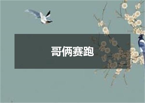 哥俩赛跑