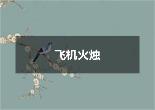 飞机火烛