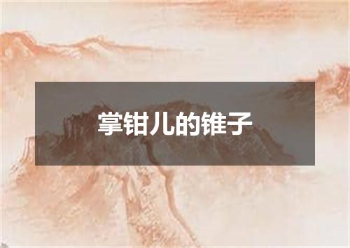 掌钳儿的锥子