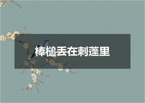 棒槌丢在刺蓬里