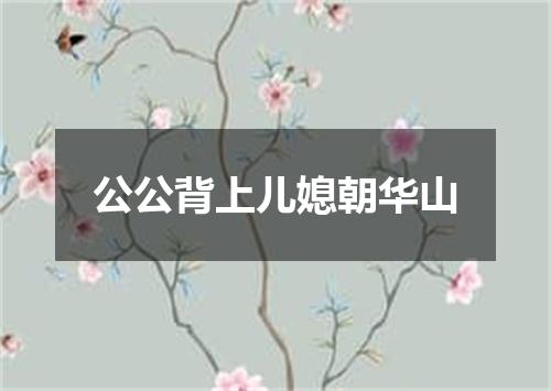 公公背上儿媳朝华山