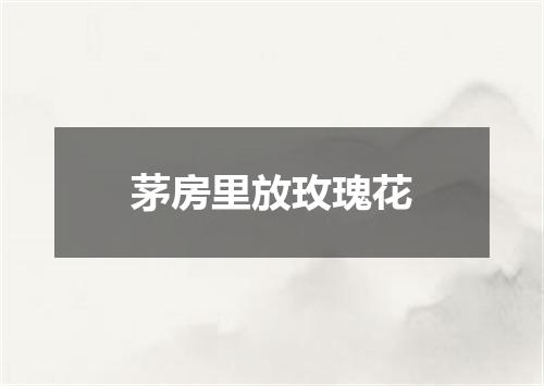 茅房里放玫瑰花