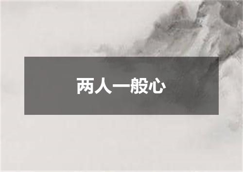 两人一般心