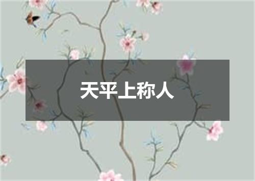 天平上称人