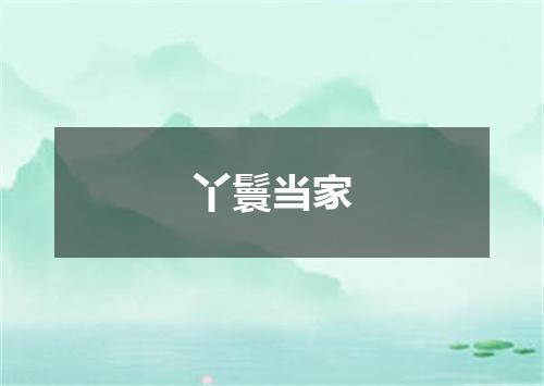 丫鬟当家