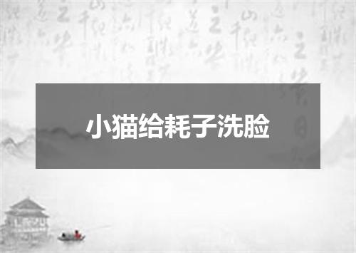 小猫给耗子洗脸