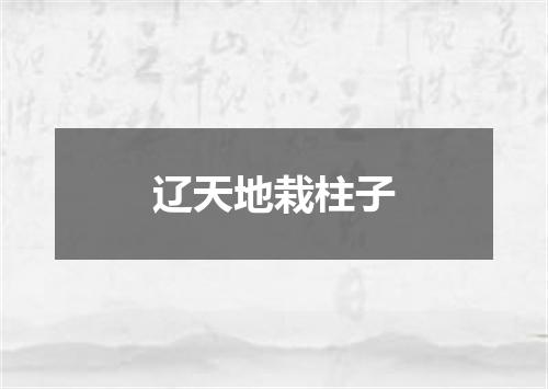 辽天地栽柱子