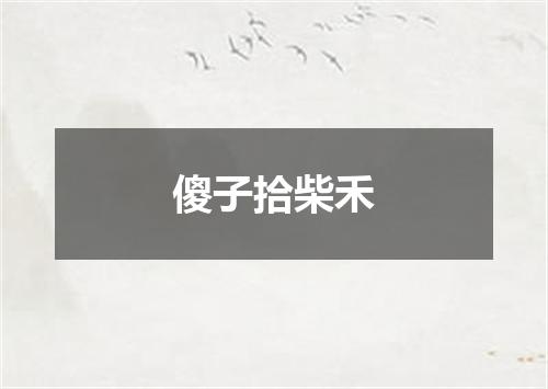 傻子拾柴禾