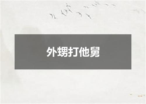 外甥打他舅
